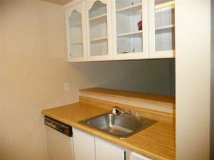 Dishwasher, Sink, Cabinets and Extra Counter Space